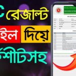 এসএসসি পরীক্ষার রেজাল্ট 2025 কিভাবে দেখবেন দেখেনিন